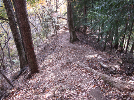 20181126hike (171)
